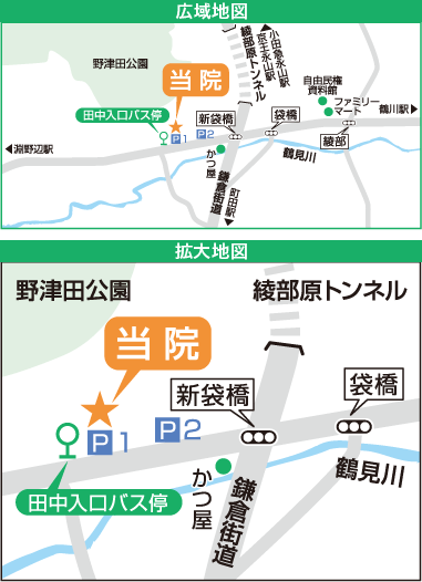 野津田耳鼻咽喉科・アレルギー科 地図