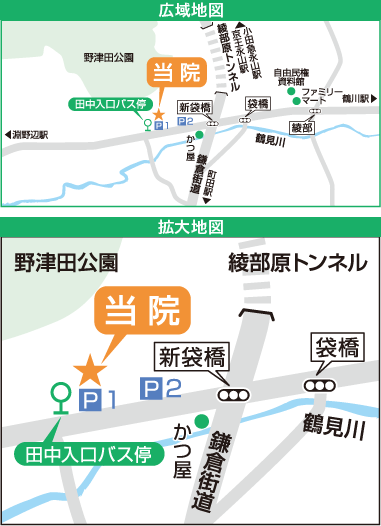 野津田耳鼻咽喉科・アレルギー科の地図